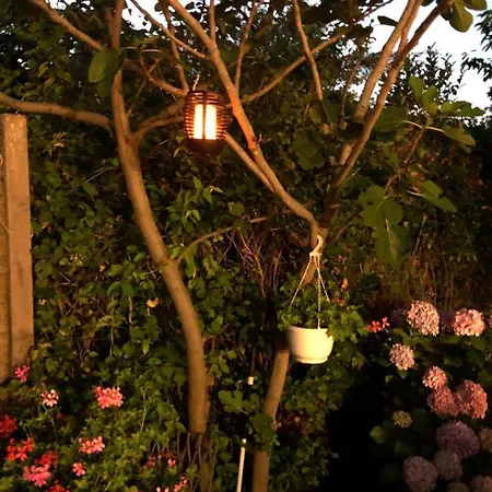 Chez L'habitant Homestay